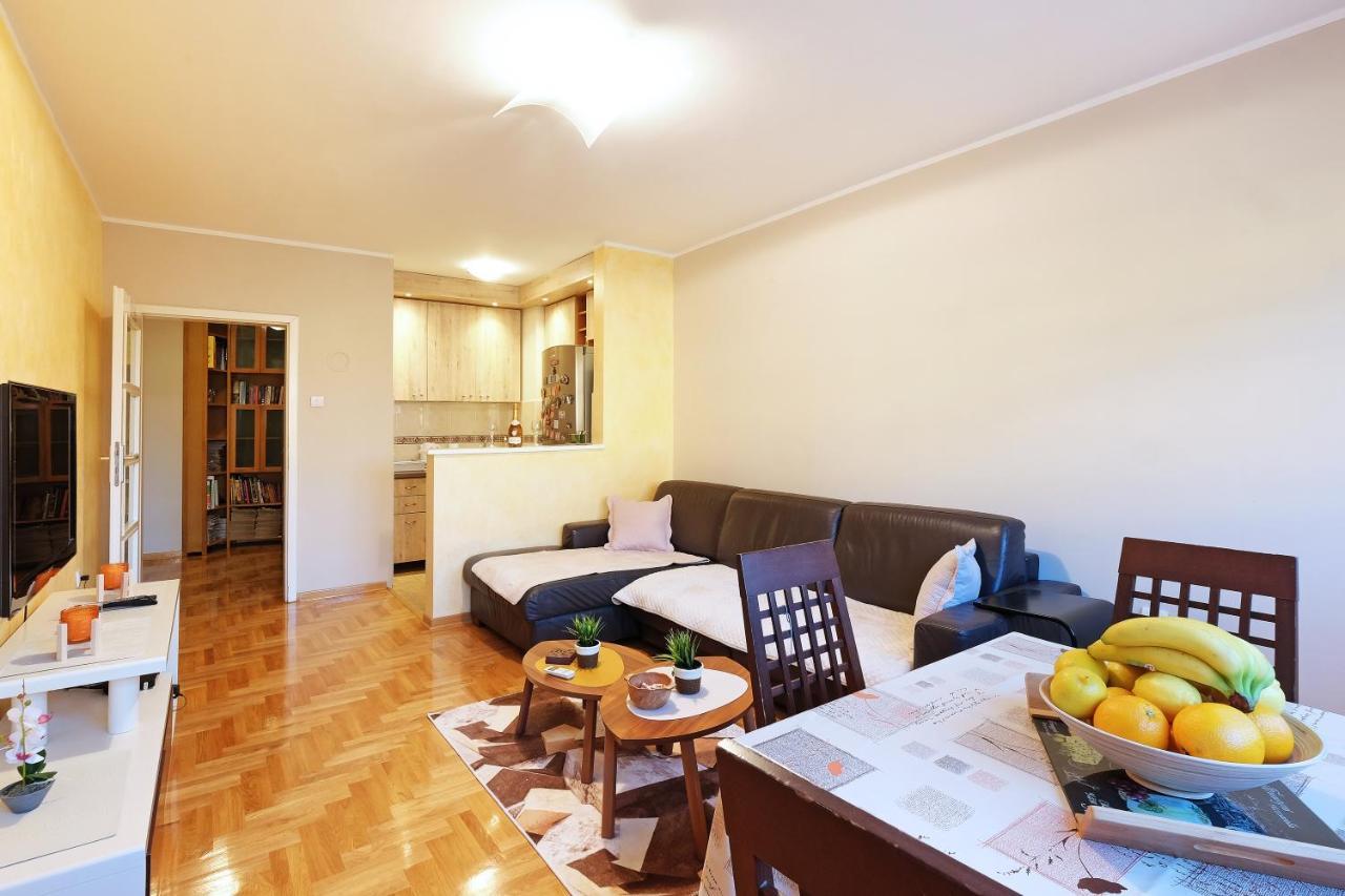 בלגרד Sky City View Apartment & Big Terrace מראה חיצוני תמונה